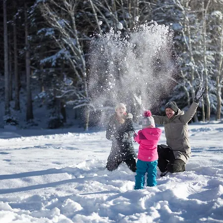 Feriengut Ottacherhof - Active Family In Hollersbach